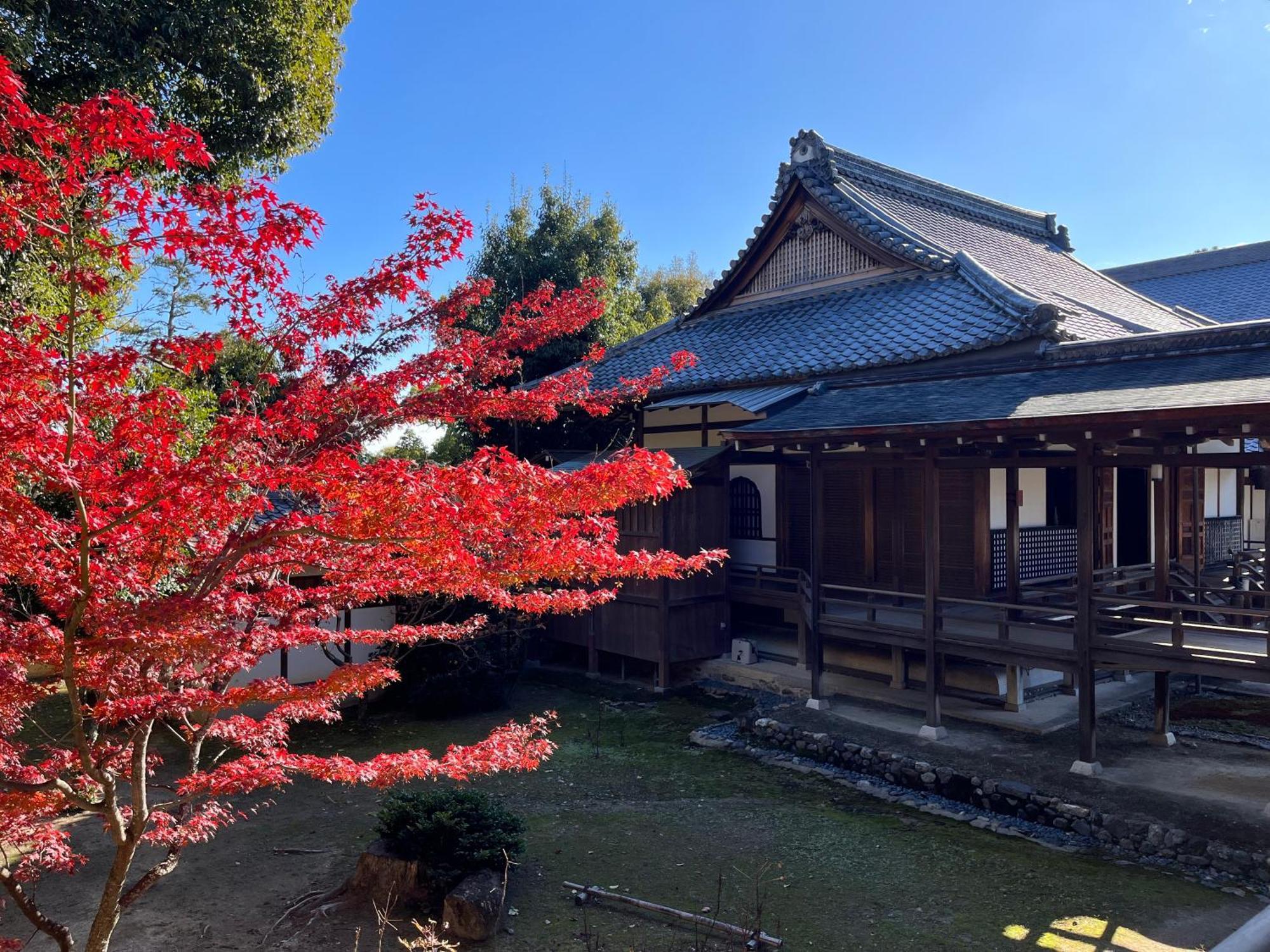 嵐山 天龍の宿 駐車無料 一棟貸切 最大5人 Dragon Legend Arashiyama Central Private Rare Modern Villa Free Parking Max 5Ppl Shimo-saga Exteriör bild