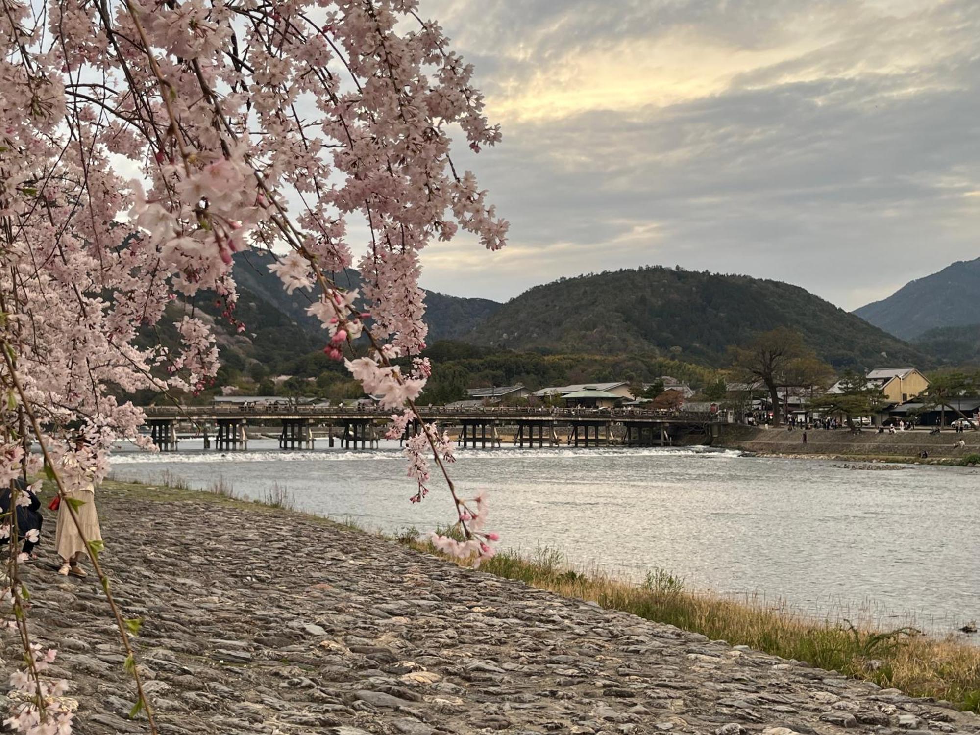 嵐山 天龍の宿 駐車無料 一棟貸切 最大5人 Dragon Legend Arashiyama Central Private Rare Modern Villa Free Parking Max 5Ppl Shimo-saga Exteriör bild